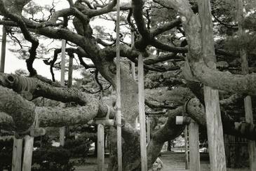 Kanazawa, Japan. © Etienne Pierart.